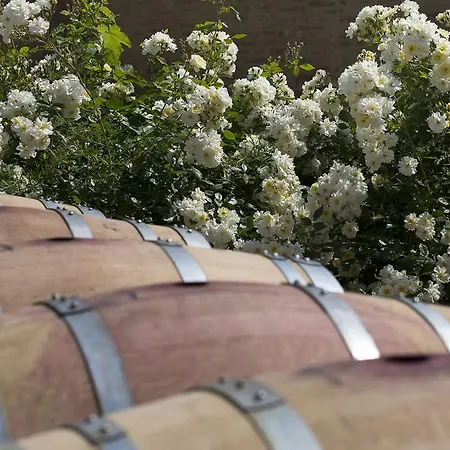 Marchesi Alfieri - Cantine E Ospitalita Bed & Breakfast 4*