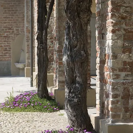 Marchesi Alfieri - Cantine E Ospitalità 4* San Martino Alfieri