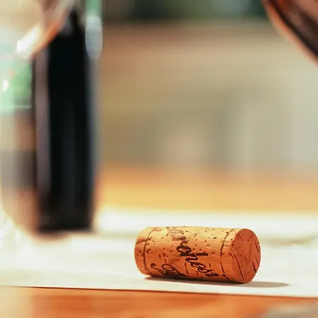 Marchesi Alfieri - Cantine E Ospitalita Frühstückspension San Martino Alfieri