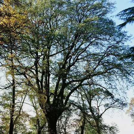 Marchesi Alfieri - Cantine E Ospitalita Frühstückspension
