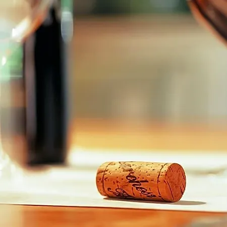 Marchesi Alfieri - Cantine E Ospitalità