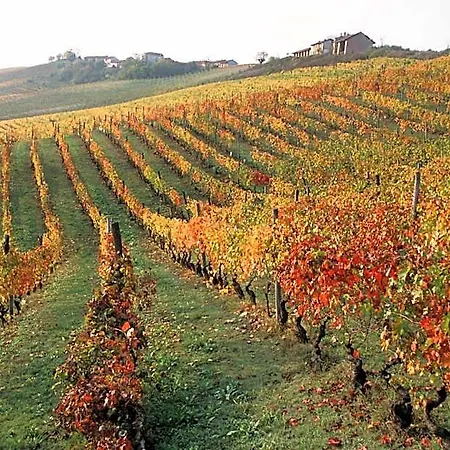 Marchesi Alfieri - Cantine E Ospitalità 4*