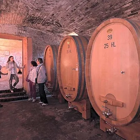Marchesi Alfieri - Cantine E Ospitalità 4*