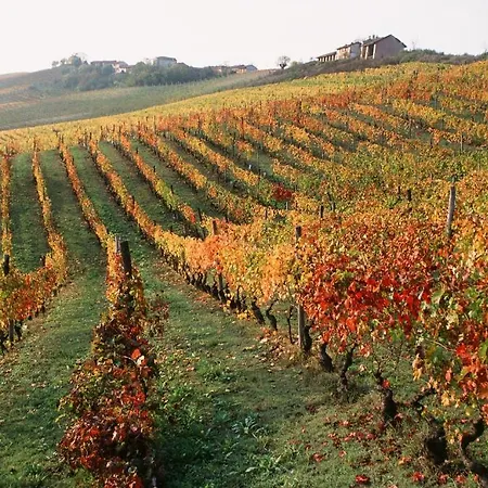 Marchesi Alfieri - Cantine E Ospitalita San Martino Alfieri