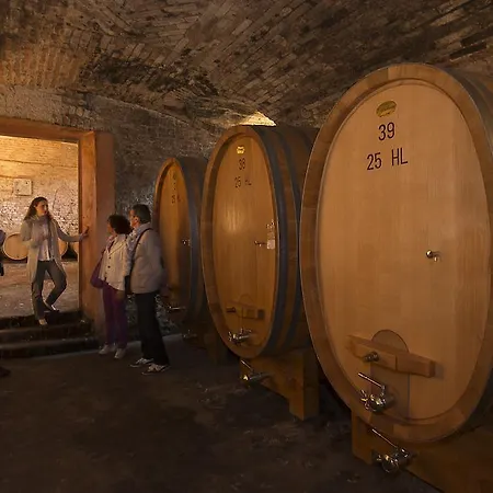 Marchesi Alfieri - Cantine E Ospitalità Alojamento de Acomodação e Pequeno-almoço