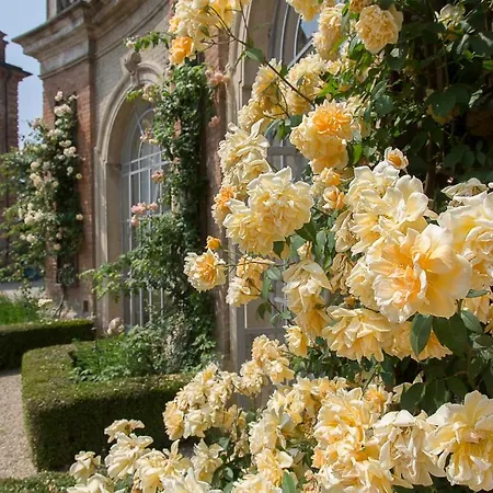 Bed & Breakfast Marchesi Alfieri - Cantine E Ospitalita San Martino Alfieri