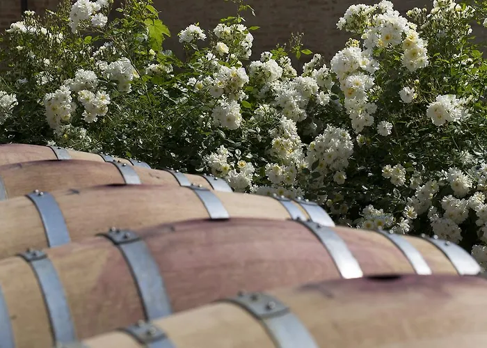 Marchesi Alfieri - Cantine E Ospitalita Bed and breakfast 4*