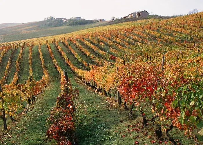 Marchesi Alfieri - Cantine E Ospitalita San Martino Alfieri