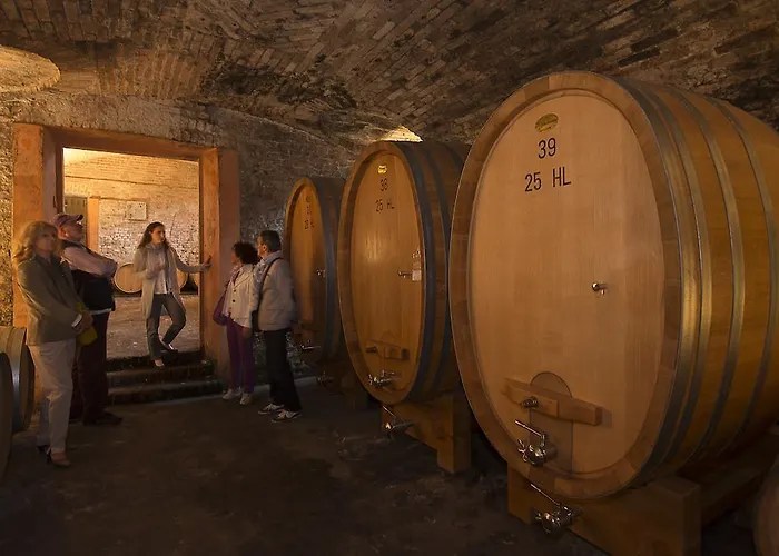 Marchesi Alfieri - Cantine E Ospitalita Bed and breakfast