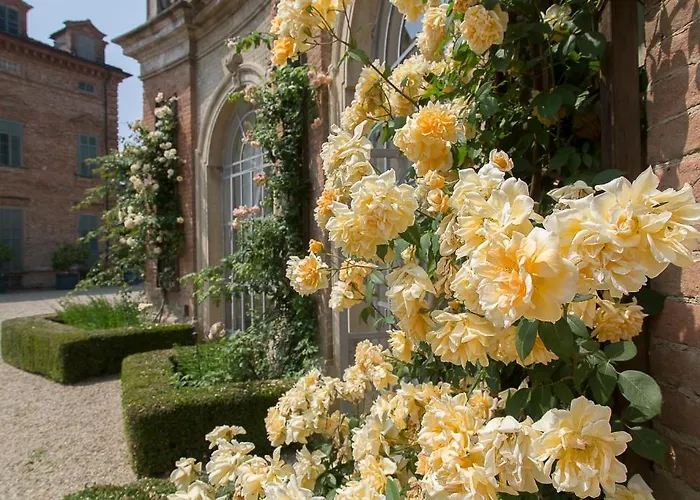 Bed and breakfast Marchesi Alfieri - Cantine E Ospitalita San Martino Alfieri